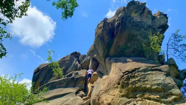 Rezerwat przyrody Prządki - co jest przedmiotem ochrony i dlaczego?