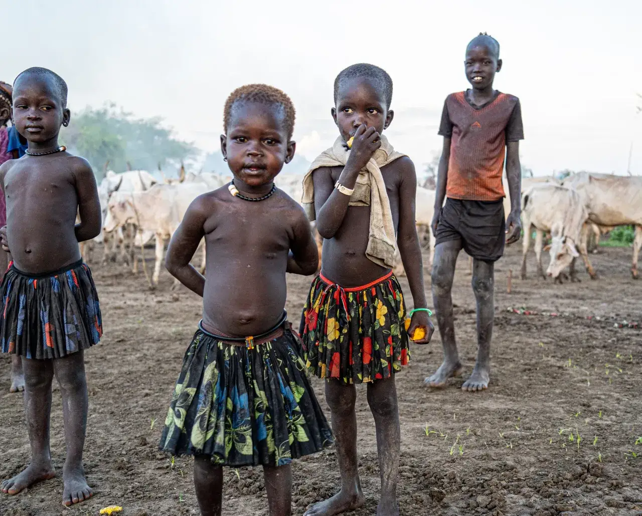 Plemię dinka: Niezwykłe plemię dinka - obyczaje, tradycje i kultura