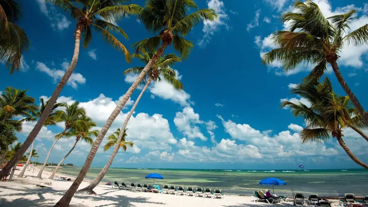 Palmen säumen einen weißen Sandstrand mit Liegestühlen und blauen Sonnenschirmen am türkisfarbenen Meer unter blauem Himmel.