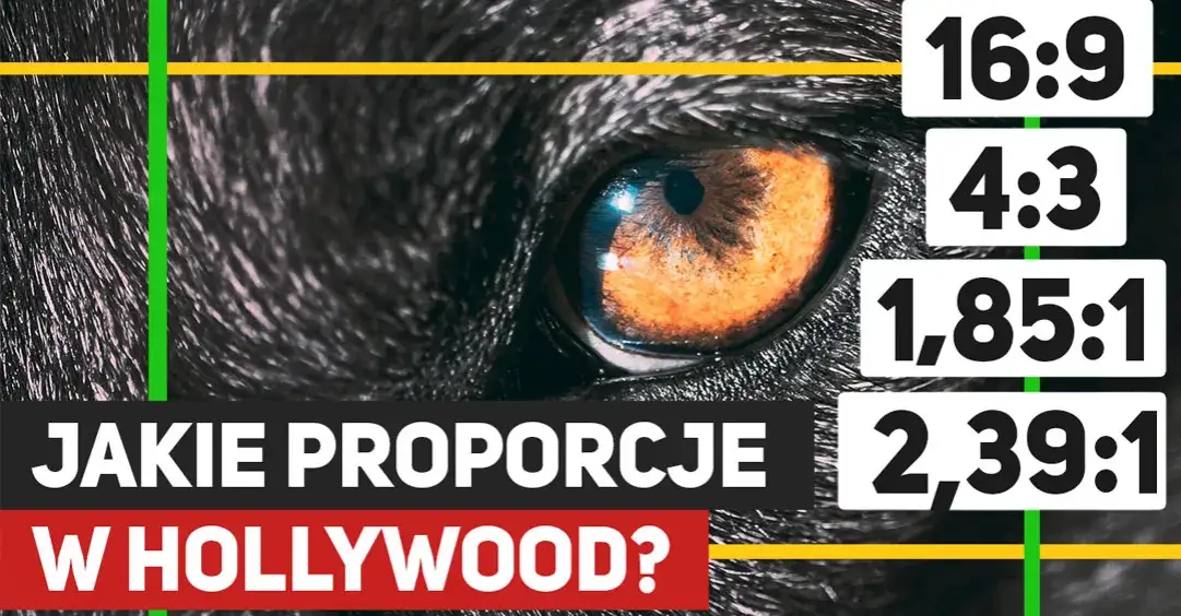 Jak zrobić zdjęcie z filmu? Klatka 4K krok po kroku!