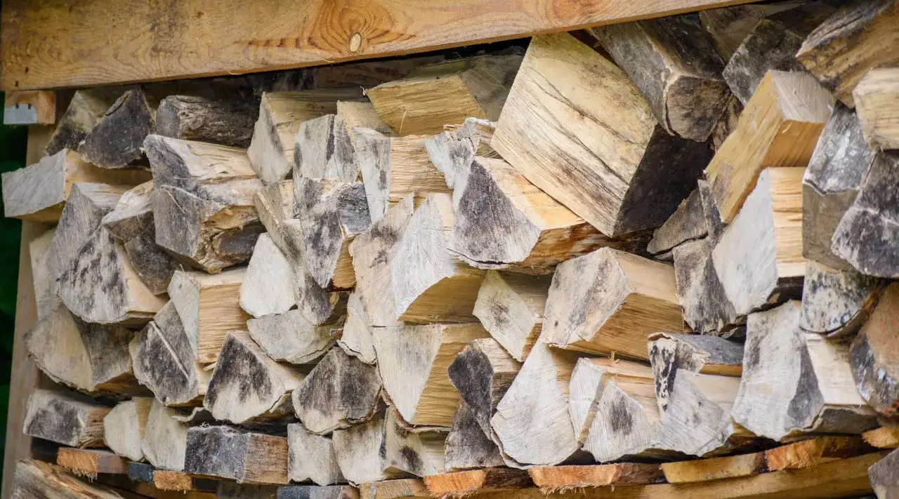 Drewno akacji, pocięte na szczapy, czeka na rozpałkę. Czy akacja nadaje się do kominka? Tak, jest dobrym paliwem.