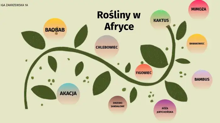 Jakie rośliny uprawia się w Afryce? Odkryj nieznane gatunki i ich znaczenie