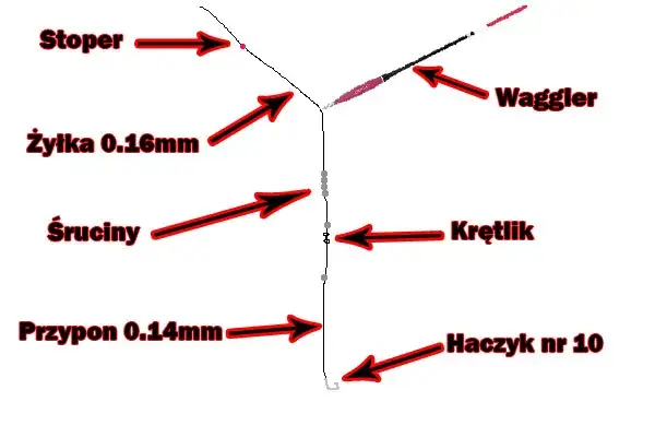 Jaki spławik na leszcza? Sprawdź, by nie stracić ryby!