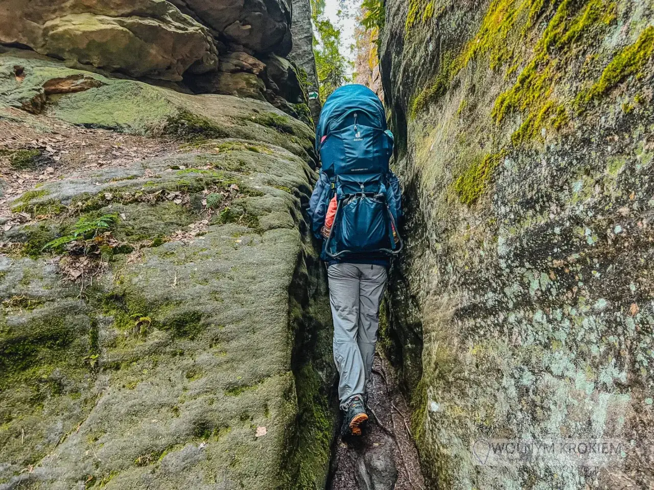 Atrakcje w okolicy Adrspach, które musisz zobaczyć i przeżyć