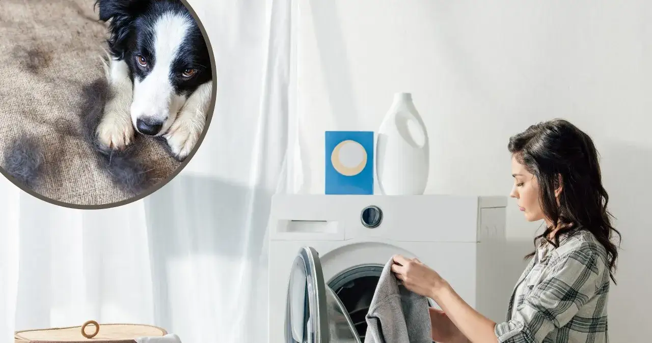 Jak pozbyć się sierści z ubrań podczas prania i uniknąć frustracji
