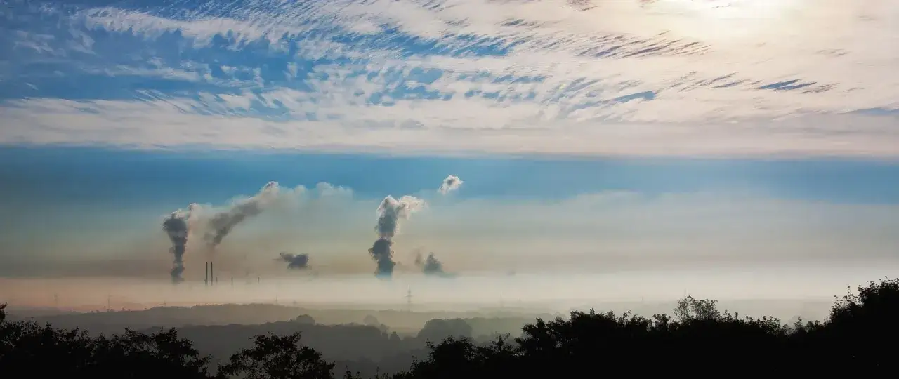 Smog w Polsce: Jak chronić środowisko? Indywidualnie i systemowo