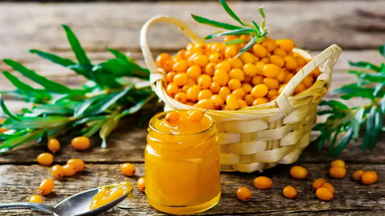 Kwitnienie rokitnika: jak rozpoznać płeć i zapewnić plony?