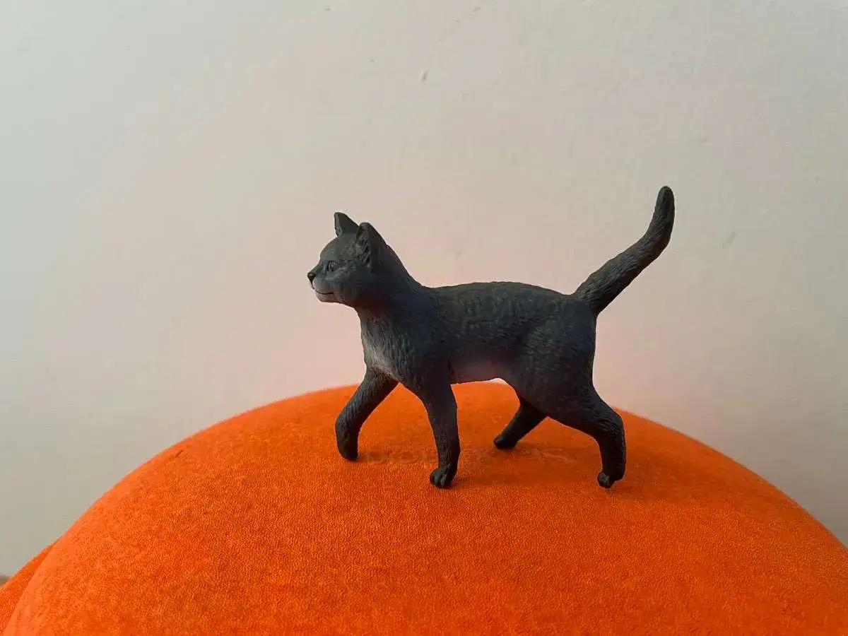 Alles über die Katze Karajan aus der Schule der magischen Tiere