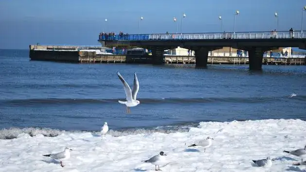 Kołobrzeg: Ile stopni dziś? Pogoda, woda i prognoza na urlop