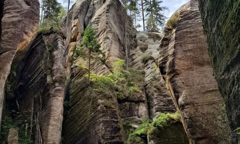 Wycieczki indywidualne: wszystko co musisz wiedzieć przed wyjazdem