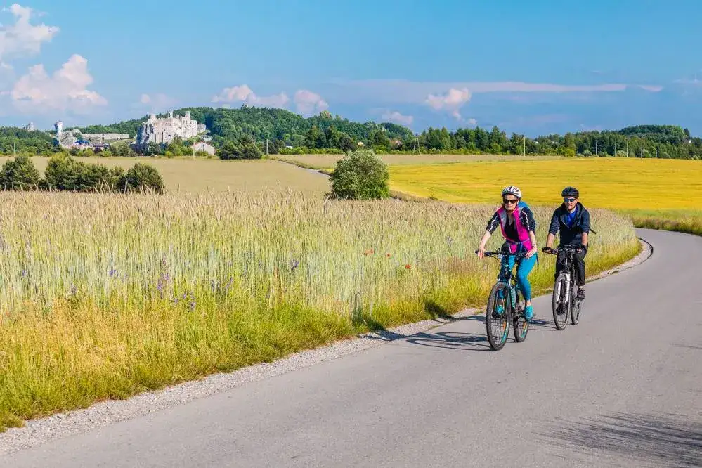 Najlepsze trasy rowerowe w Żywcu - odkryj malownicze szlaki
