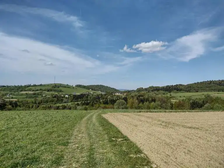 Atrakcje w Iwoniczu Zdroju, które musisz zobaczyć i odwiedzić