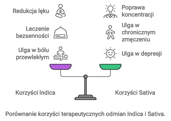 Indica vs Sativa: Porównanie charakterystyk - Która odmiana lepsza?