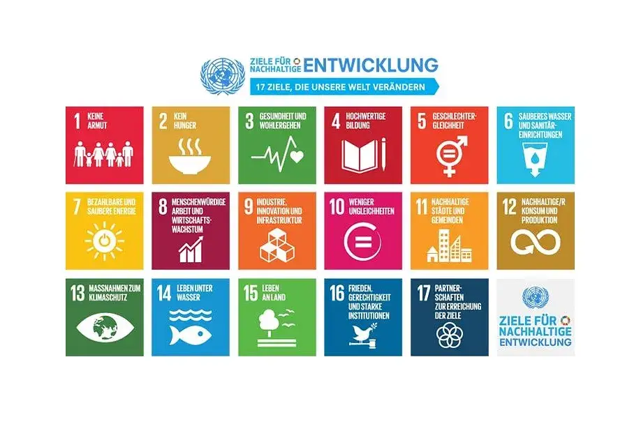 Bildung für nachhaltige Entwicklung: Wege zu einer besseren Zukunft