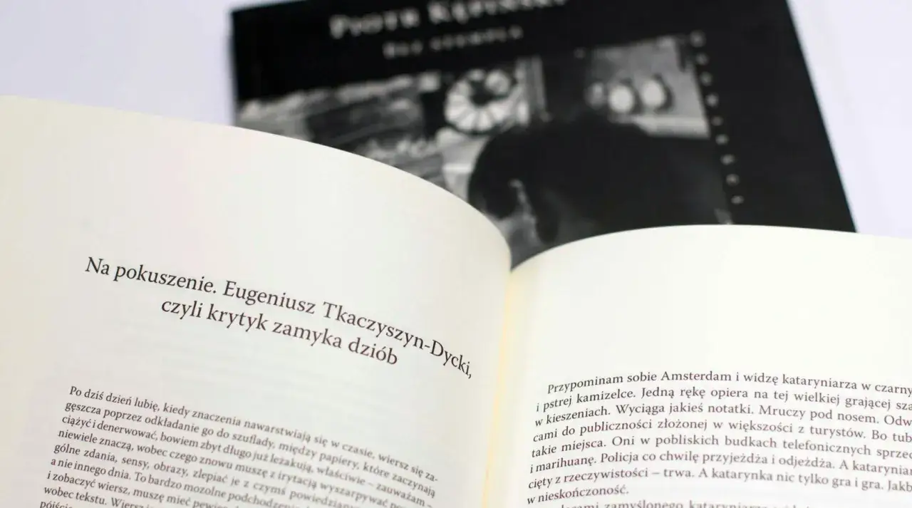 Dlaczego literatura potrzebuje więcej niż język literacki: przełom w tradycji