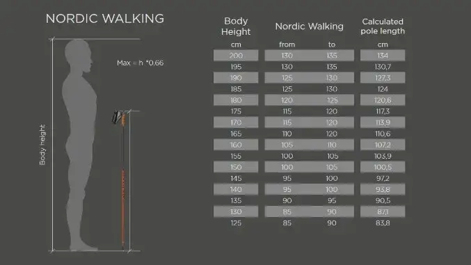 Jak dobrać kijki narciarskie? Poradnik eksperta i tabela rozmiarów
