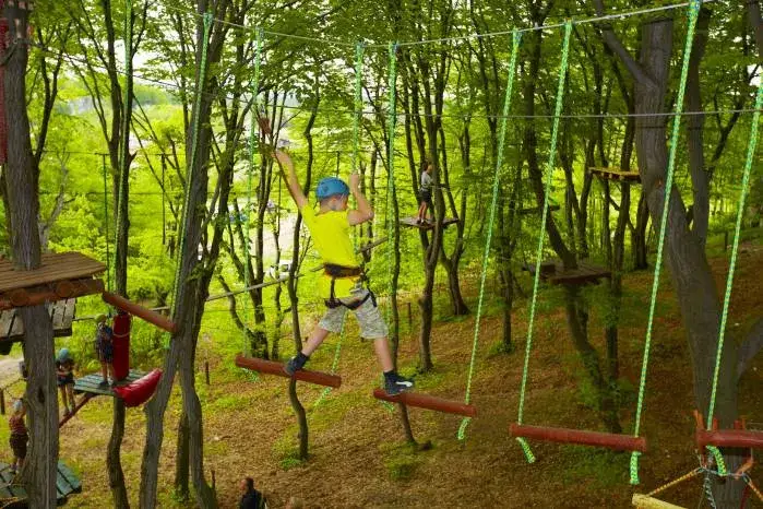 Park linowy Żywiec - Ciekawe trasy i atrakcje dla całej rodziny