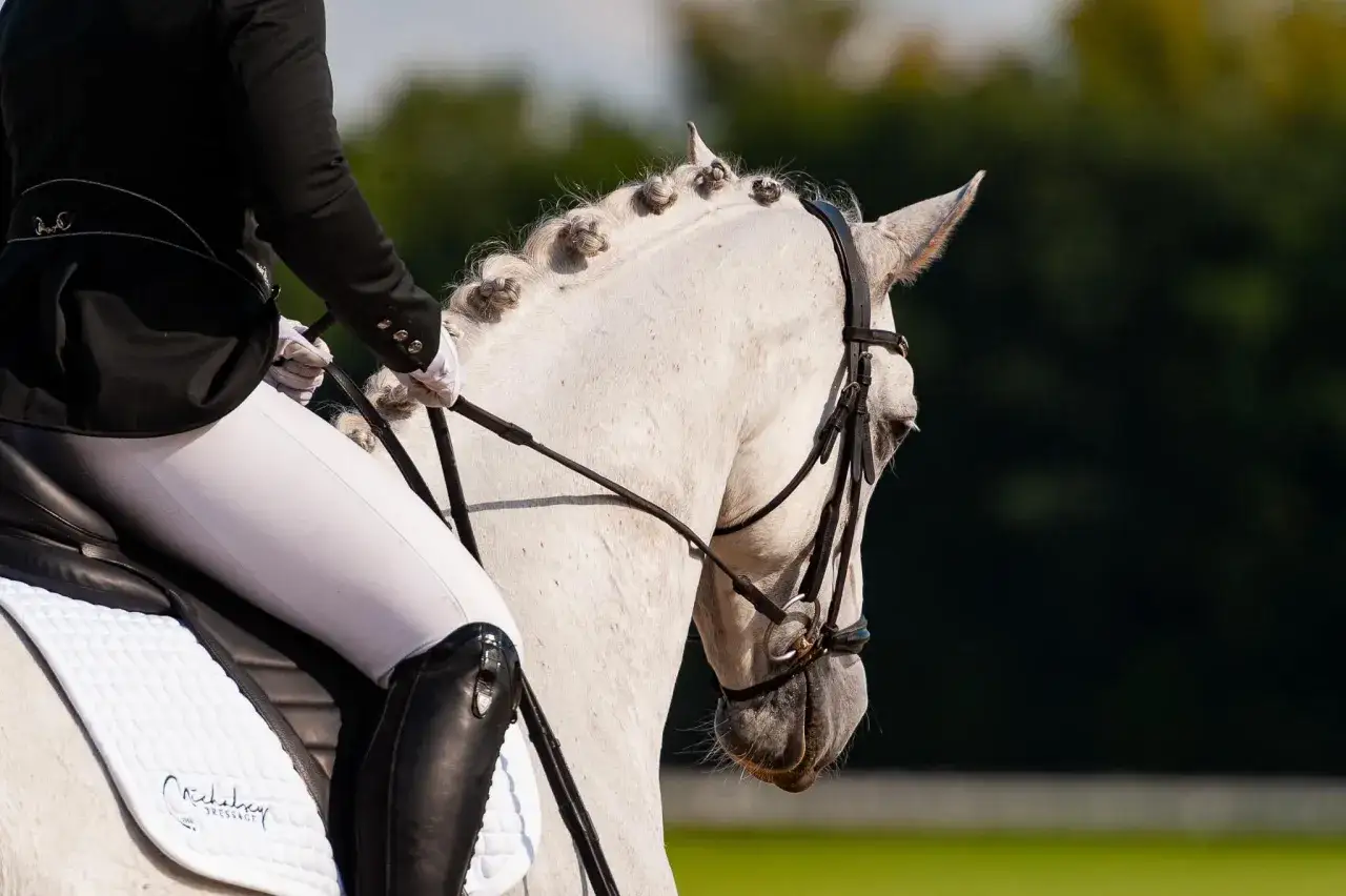 Jazda Konna Jabłonna: Ośrodek Czeremchowa przewodnik i cennik