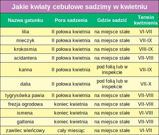 Jakie kwiaty sadzić w kwietniu? Uniknij błędów, ciesz się ogrodem!