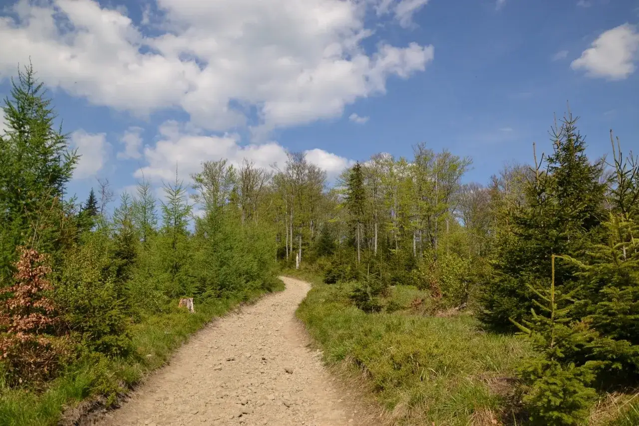 Szyndzielnia PTTK: Dojazd, noclegi, szlaki Pełny przewodnik