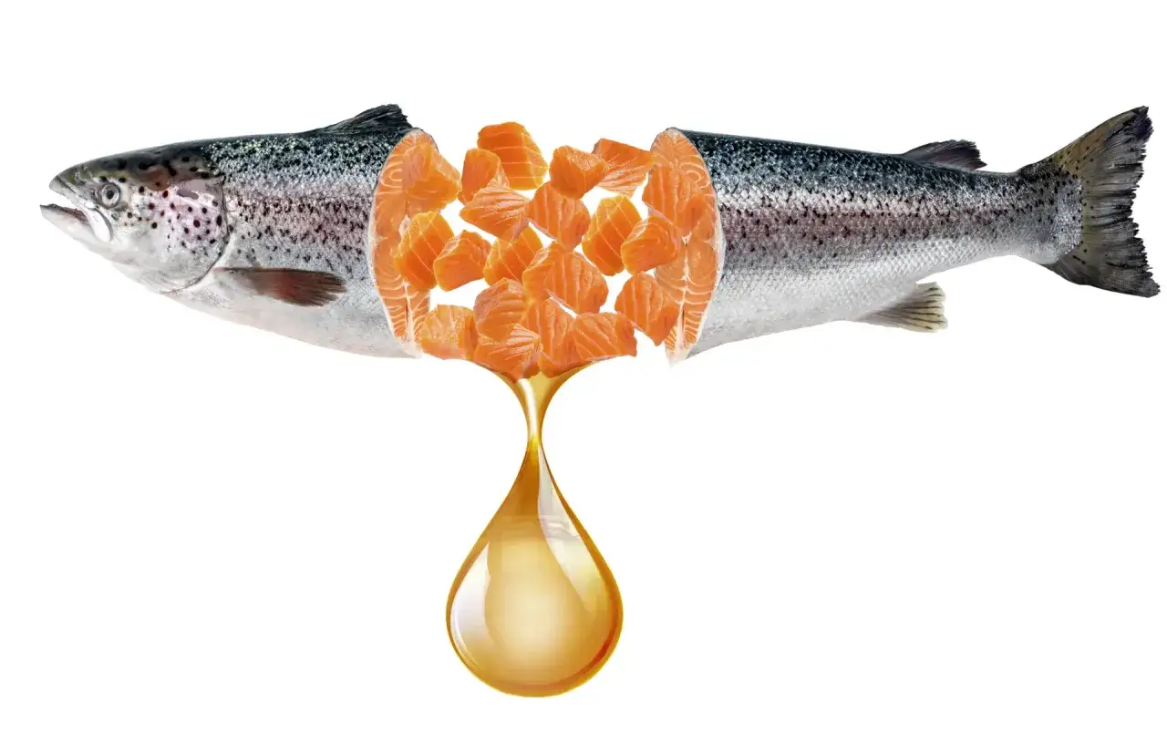 Olej z łososia czy kryla? Wybierz najlepszy dla sierści i stawów!