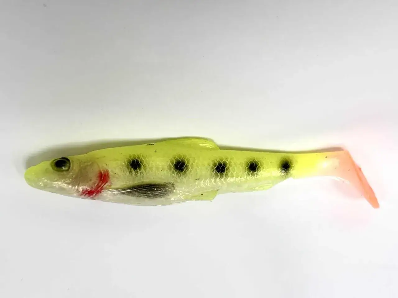 Fluorescencyjne pieczywo na ryby, imitujące ukleję, z czarnymi kropkami i pomarańczowym ogonkiem.