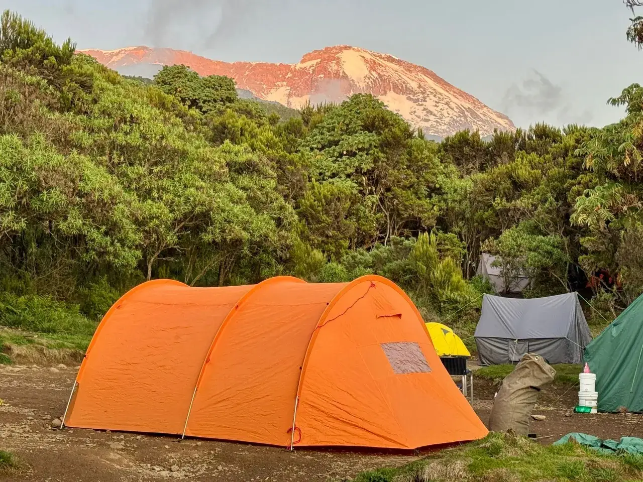 Obóz pod Kilimandżaro. Pomarańczowy namiot na pierwszym planie, w tle ośnieżony szczyt. Czas wejścia na górę zbliża się wielkimi krokami.
