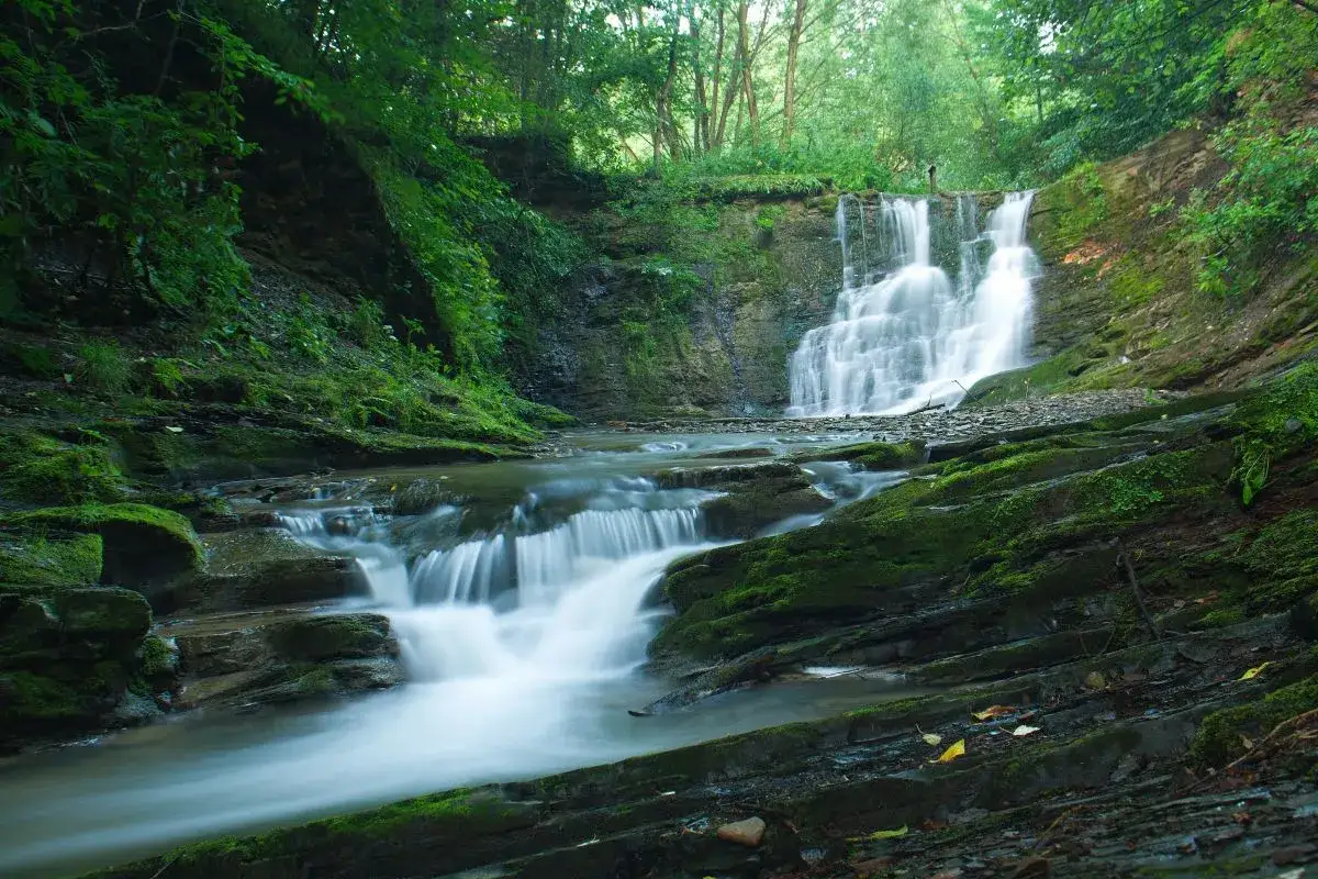 Magurski Park Narodowy: Co Warto Zobaczyć? 7 Naturalnych Cudów