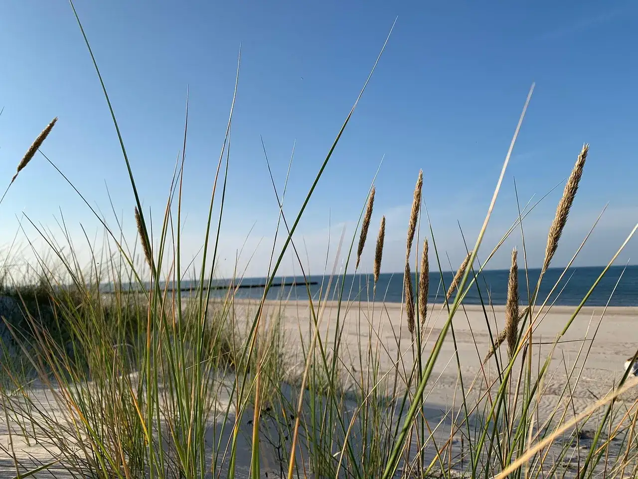 Jak znaleźć nocleg nad morzem? Poradnik: Oszczędzaj i unikaj pułapek!