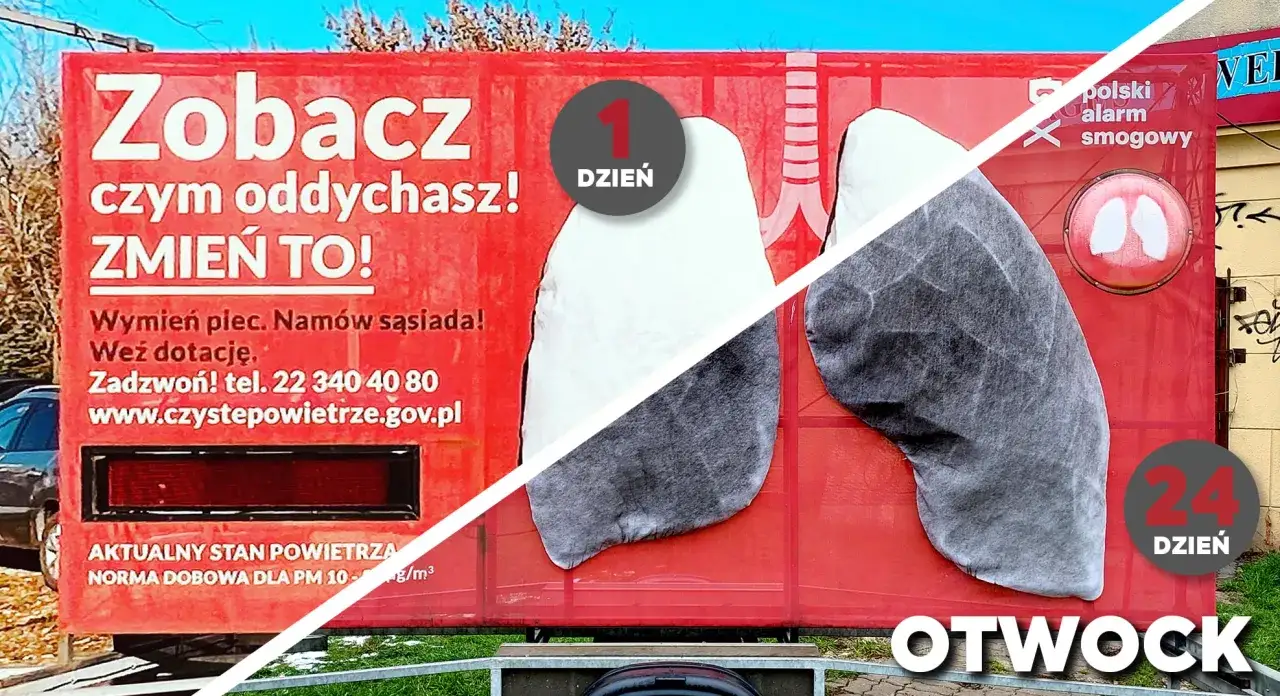 Smog a płuca: Jak zanieczyszczenia niszczą Twój układ oddechowy?