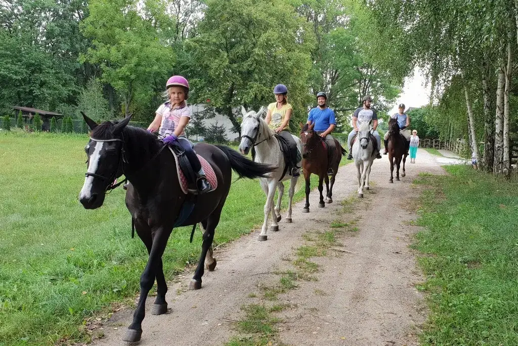 Stadnina koni Nowa Wieś - najlepsze jazdy konne i szkolenia jeździeckie