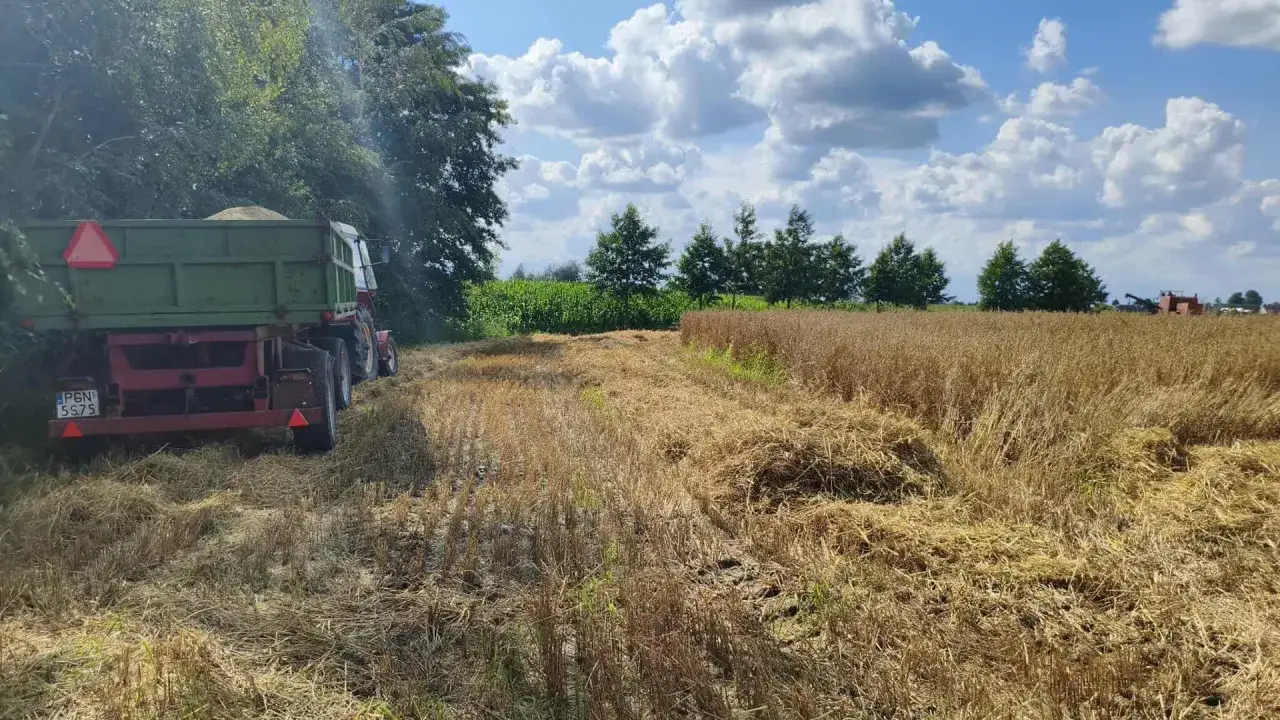 Emerytura z KRUS? Wypełnij zeznanie świadka Z-10 bezbłędnie!