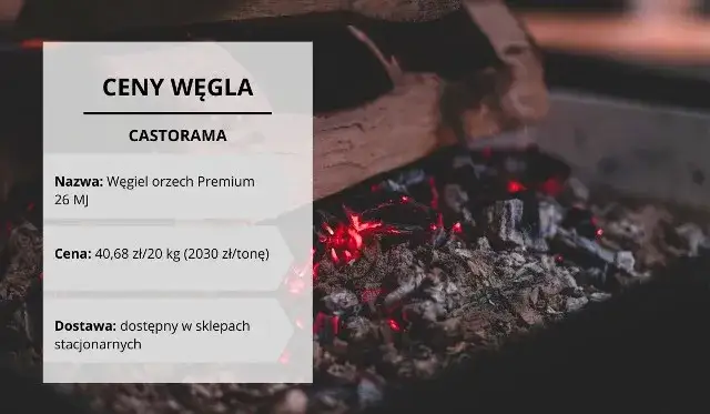 Ile kosztuje ekogroszek w Castoramie? Ceny, które zaskoczą!