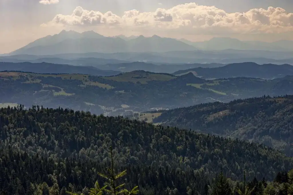 Jak zdobyć Radziejową bez tłumów? Wybierz ten najlepszy szlak!