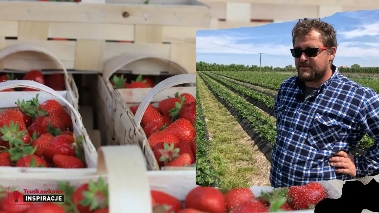 Do kiedy sezon na truskawki? Sprawdź, aby nie przegapić!