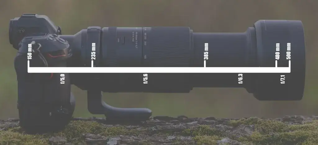 Obiektyw Tamron czy Nikkor? Porównanie, które rozwieje wątpliwości