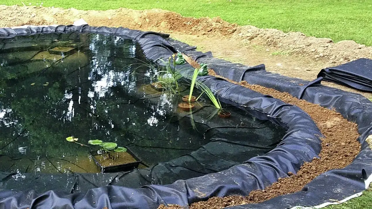 Oczka wodne jak zrobić - proste kroki, aby uniknąć błędów i kosztów