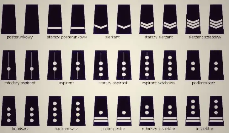Stopnie w Policji: Co ile lat awans? Przewodnik po karierze