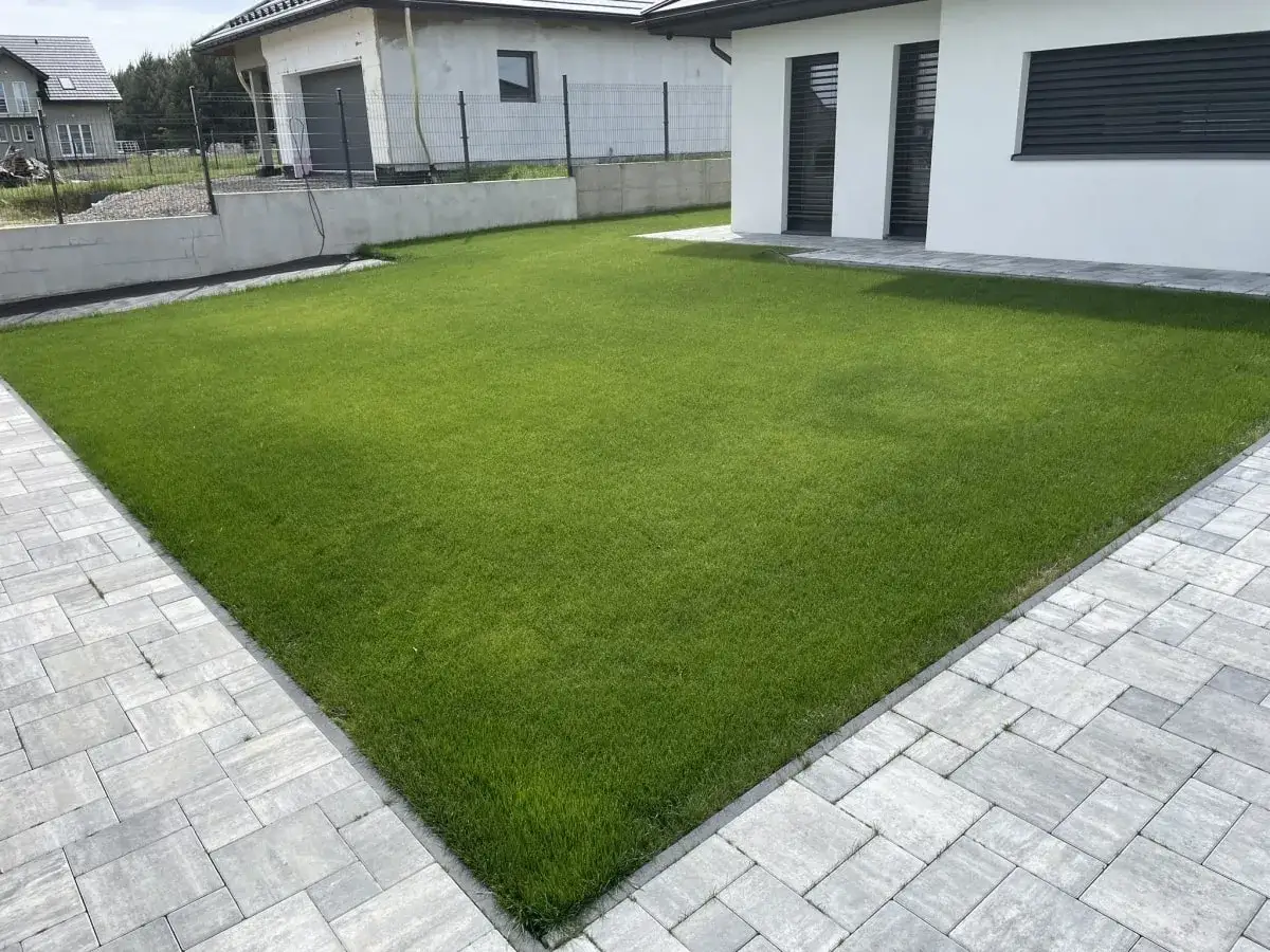 Jakie nawozy na trawnik wybrać, by uniknąć problemów z jego wzrostem?