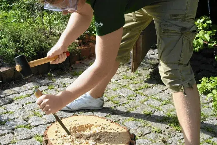 Prosty sposób na piękny kwietnik z pnia drzewa bez specjalnych umiejętności