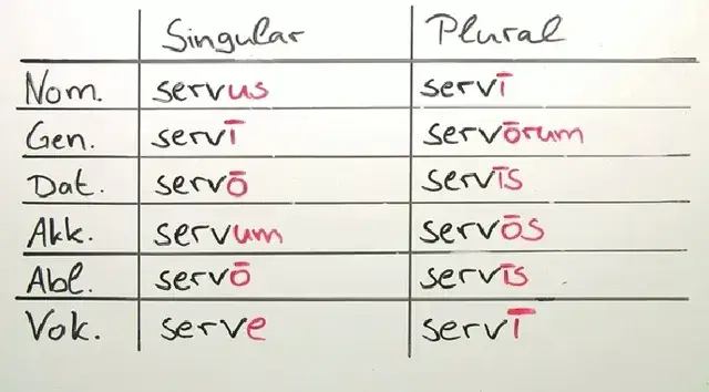 Der die das Bildung: So einfach ist die richtige Deklination