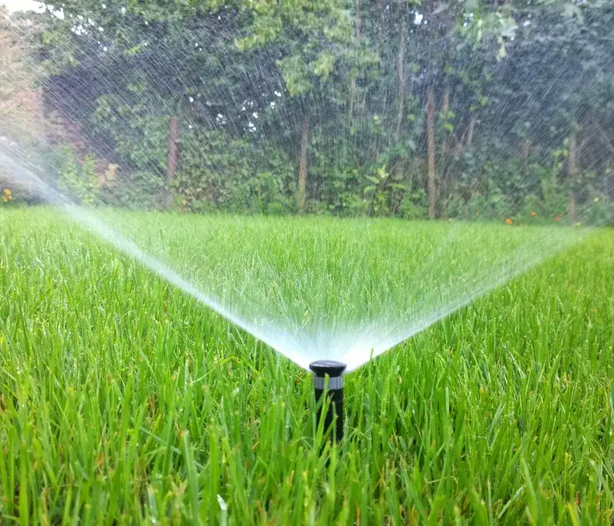 Jakie zraszacze do trawy? Wybierz idealne i oszczędzaj wodę!