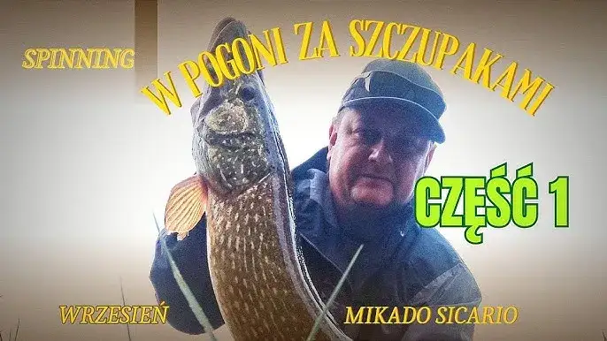 Przynęty Mikado – najlepsze wybory dla skutecznego wędkarstwa drapieżnego