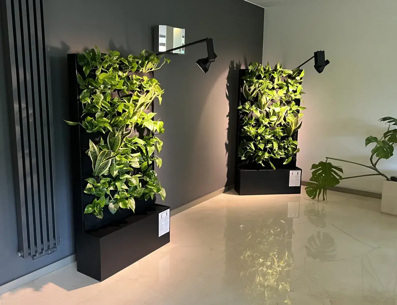 Dwie pionowe, zielone ściany roślin w nowoczesnym wnętrzu, oświetlone punktowymi lampami.