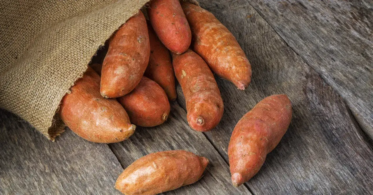 Czy bataty pieczone są zdrowe? Indeks glikemiczny i wpływ na cukrzycę