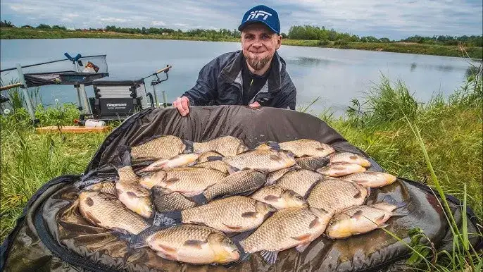 Jak rozmnażają się karasie? Odkryj sekrety ich tarła i hodowli