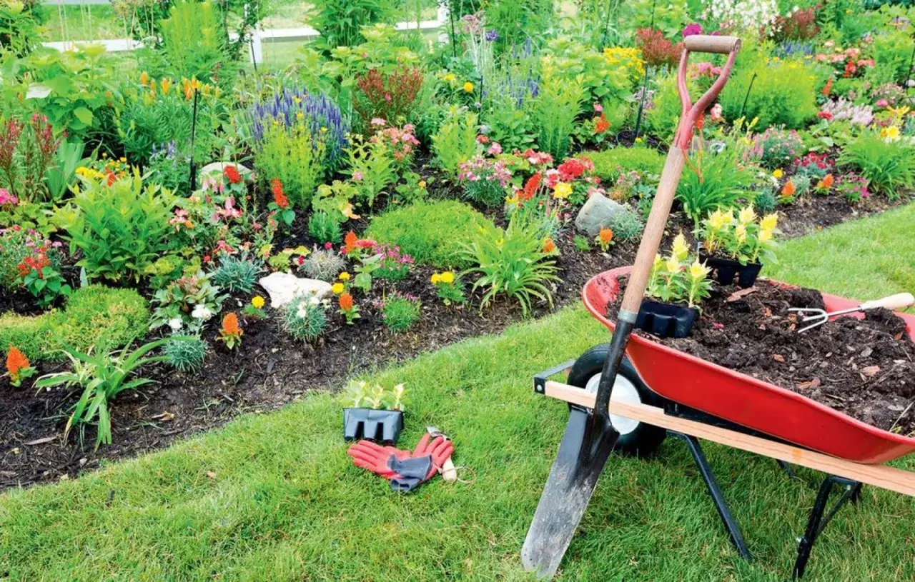 Mulcz dekoracyjny - co to jest i jak może odmienić Twój ogród