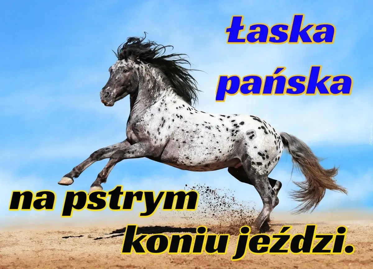 Łaska pańska na pstrym koniu jeździ: Poznaj jej aktualne znaczenie