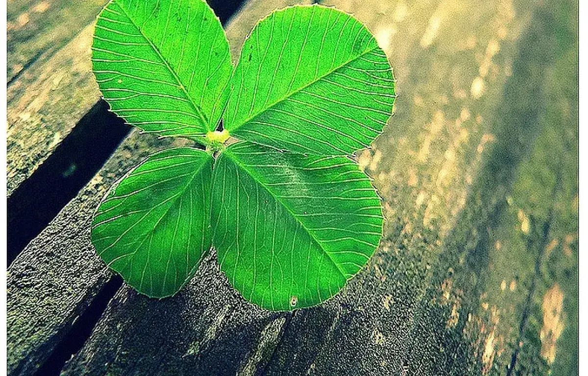 Czy pieniądze dają szczęście? Poznaj najważniejsze argumenty z literatury