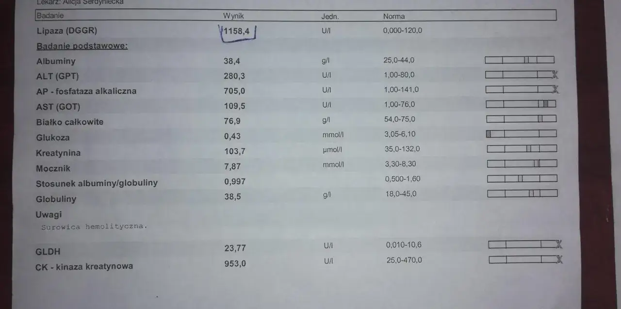 Wynik lipazy u psa 1158,4 U/I znacznie przekracza normę 0-120 U/I.